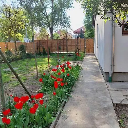 Ujszeged Apartmán